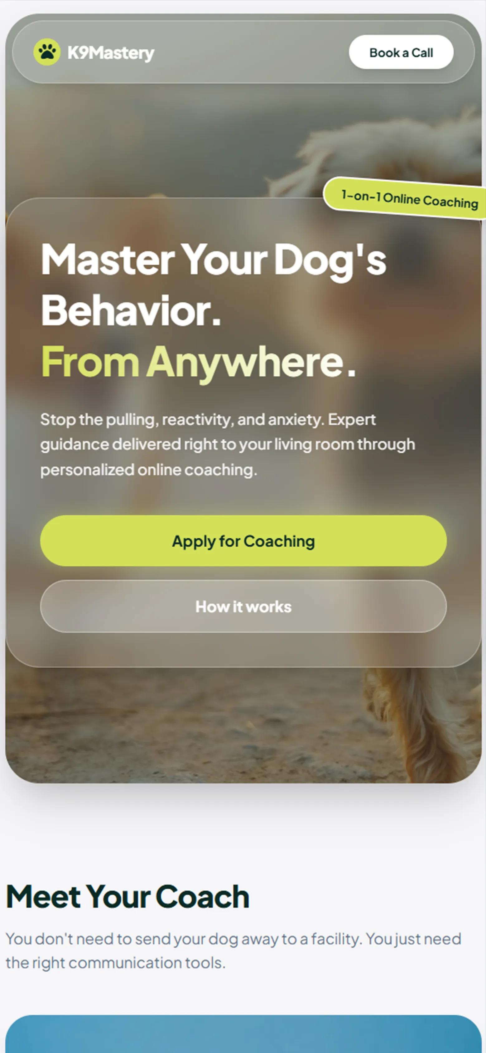 K9Mastery - Mobile Screen Two