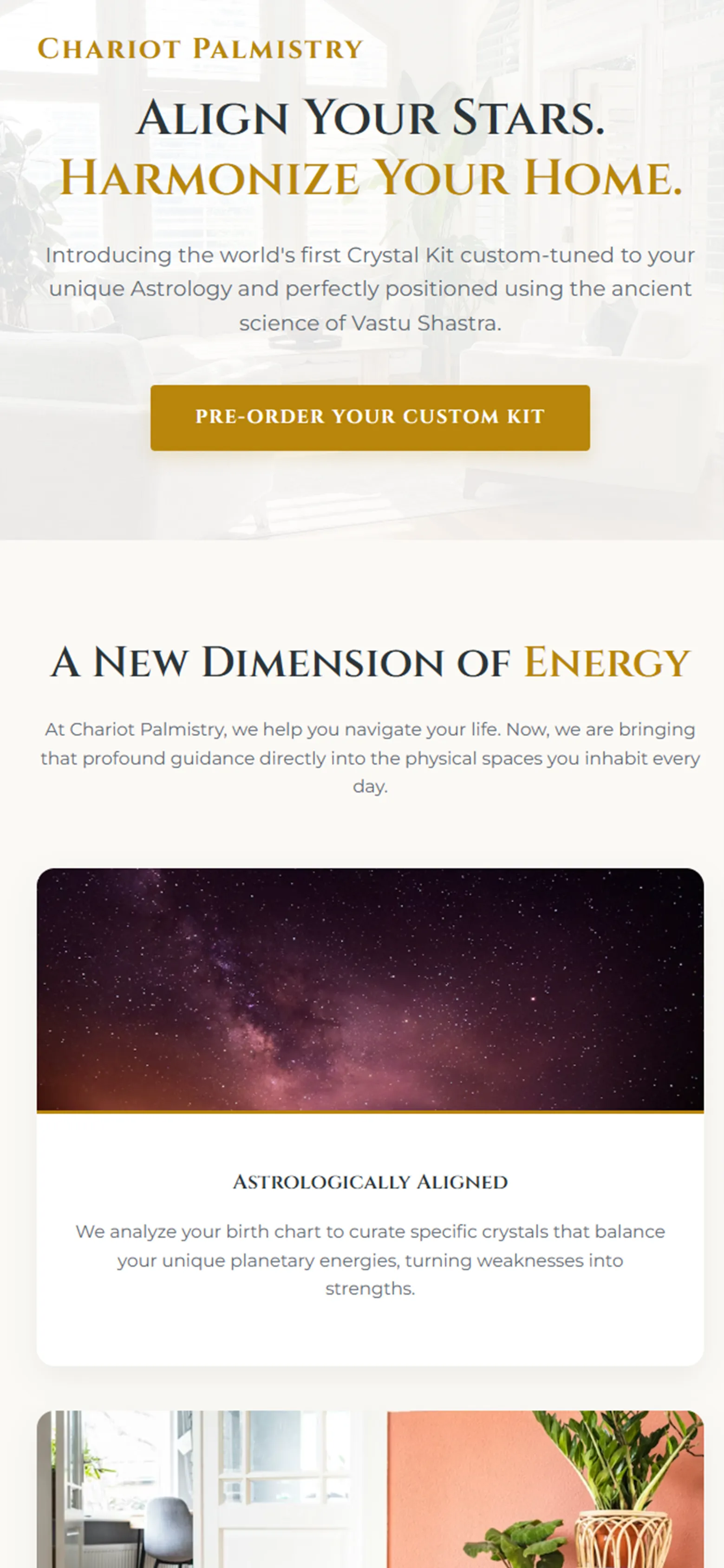 Chariot Palmistry - Mobile Screen Two